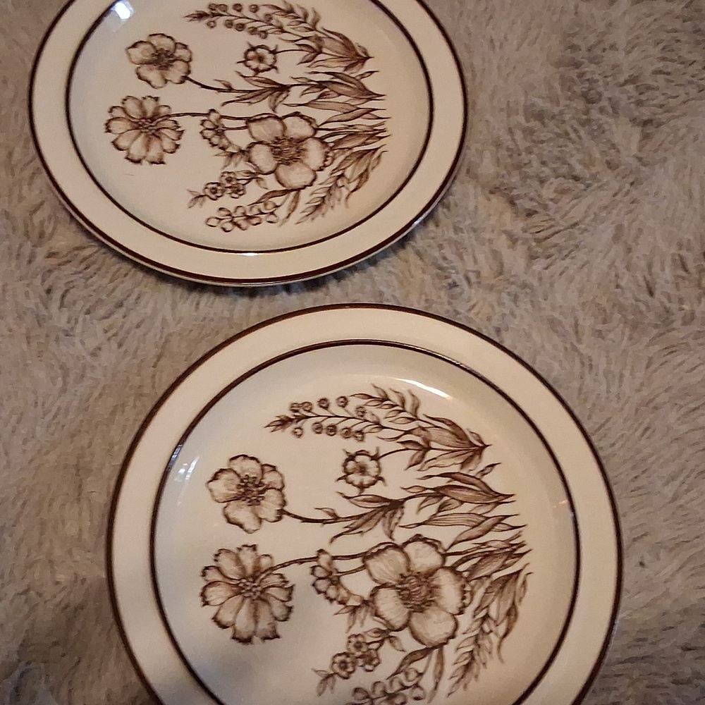 VINTAGE FLORAL PLATE DESIGN  STONEWARE X2